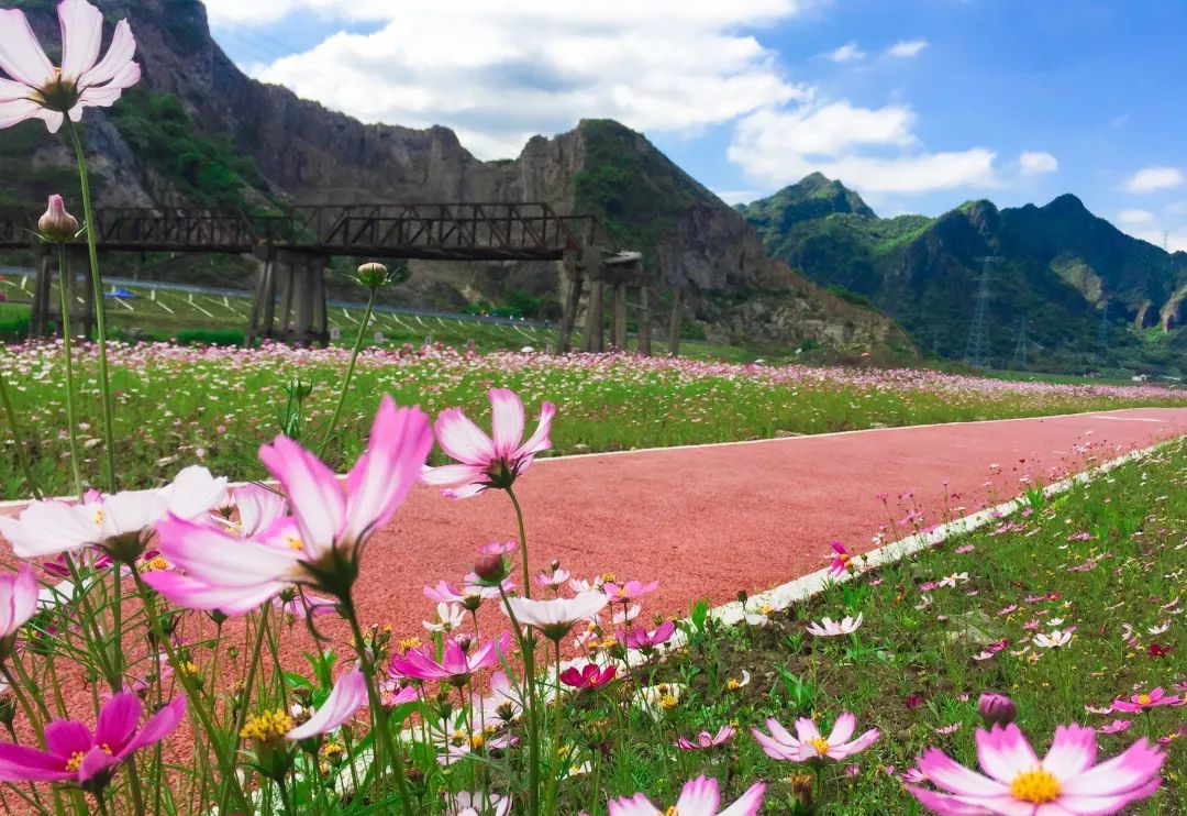 山海共澄鲜,浙里是苍南丨良辰美景无穷尽,海阔天空任你飞