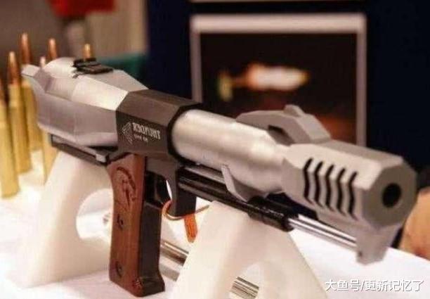 这几种不同类型的枪械, 形状很奇怪, 但动力还不错|手枪|形状|枪械_新浪新闻
