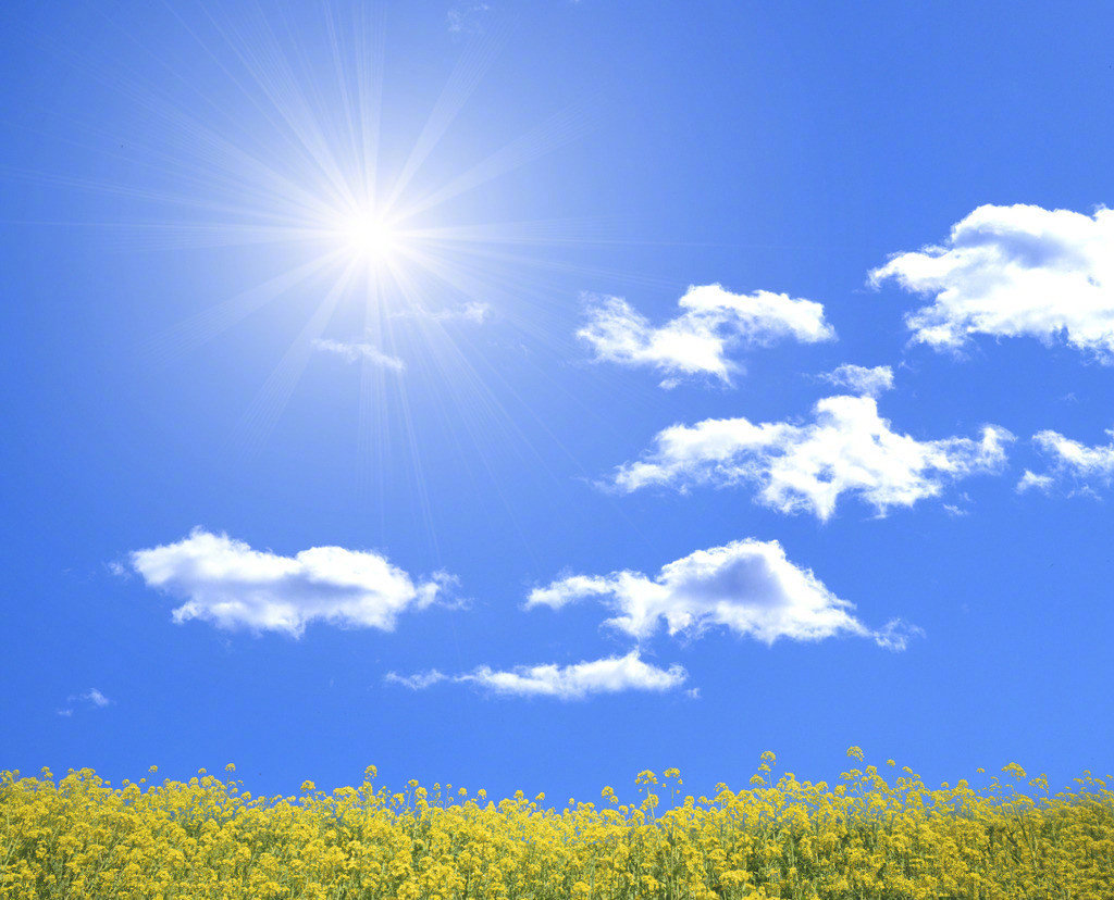 热夏天气影响生活 热夏小说剧情解析