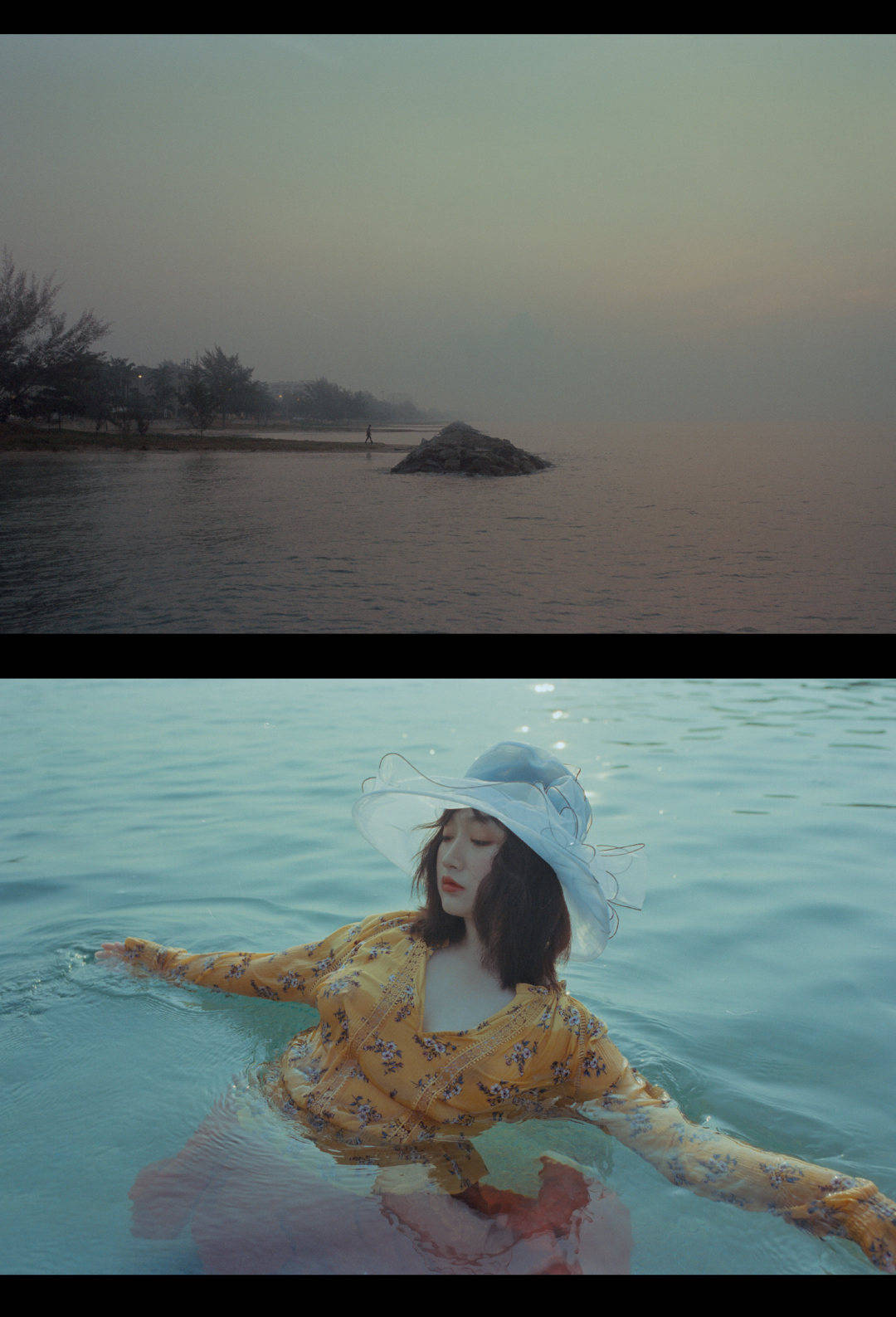 作品:如果流浪是你的天赋出镜:@野百合lily9 67:作品:如果流浪是你