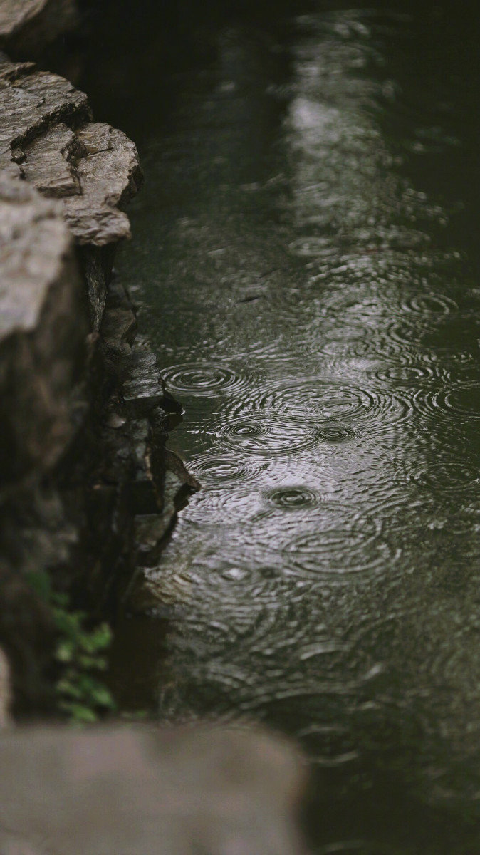 落雨听禅处,斋心入玲珑.灰烬留香远,觉来我是佛.