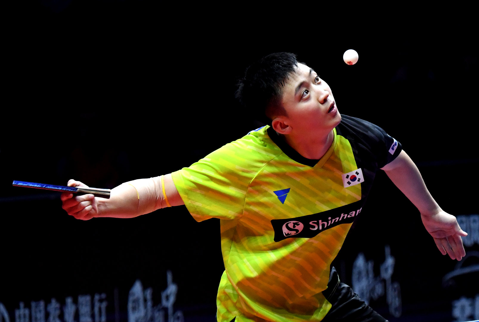 马龙 郑荣植(新华社)