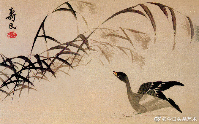 边寿民芦雁国画