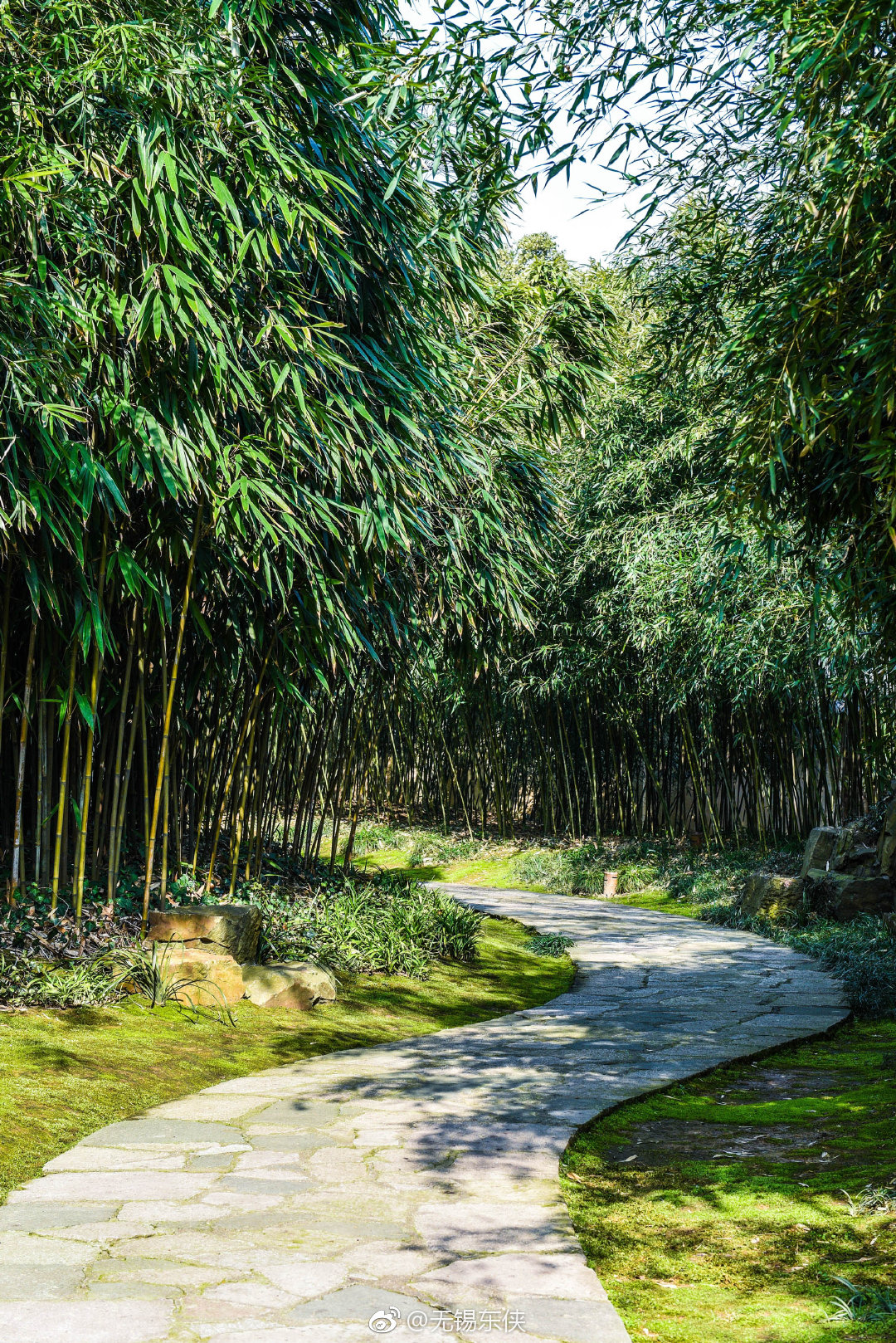 江南兰苑位于鼋头渚风景区 1989年