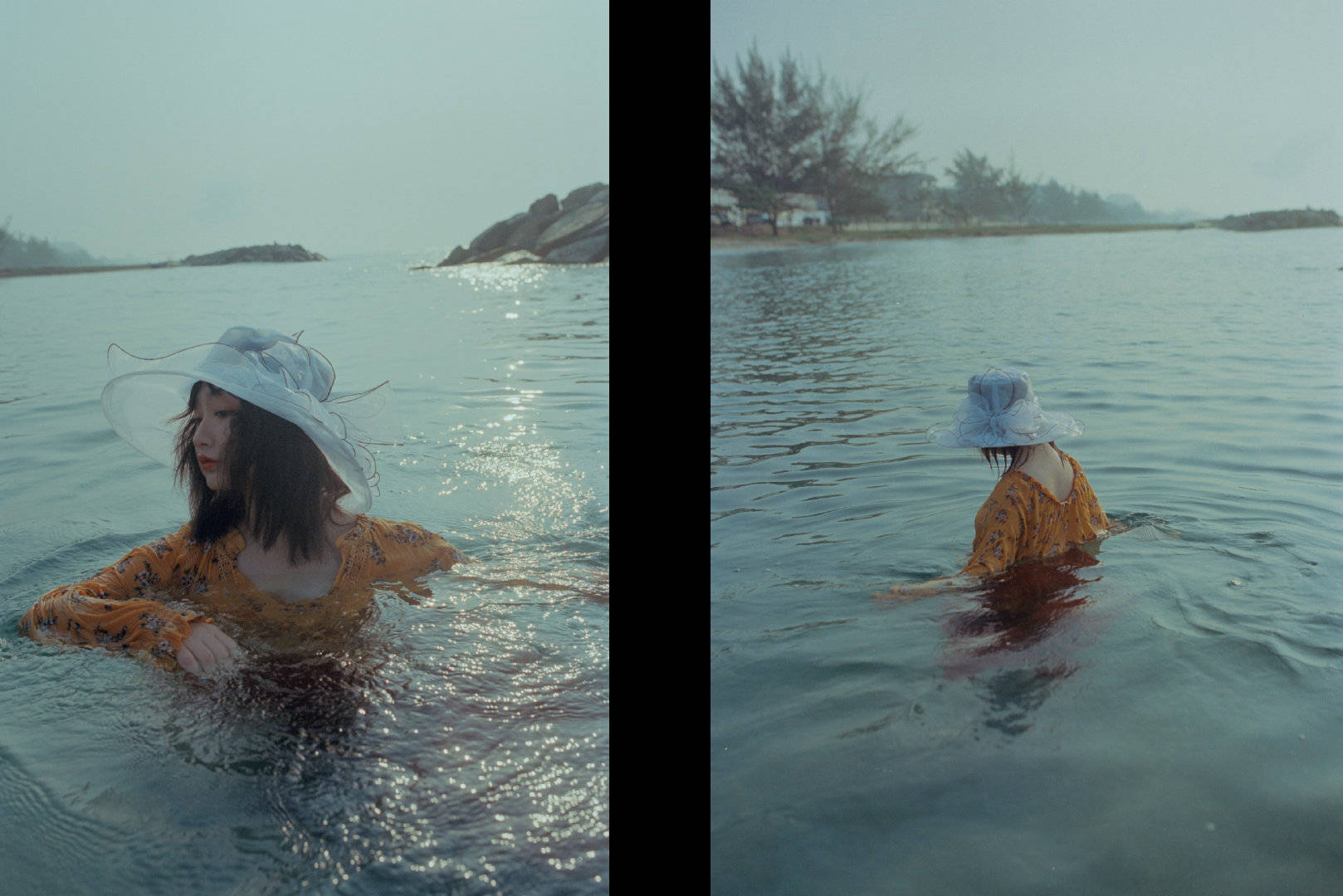 作品:如果流浪是你的天赋出镜:@野百合lily9 67:作品:如果流浪是你