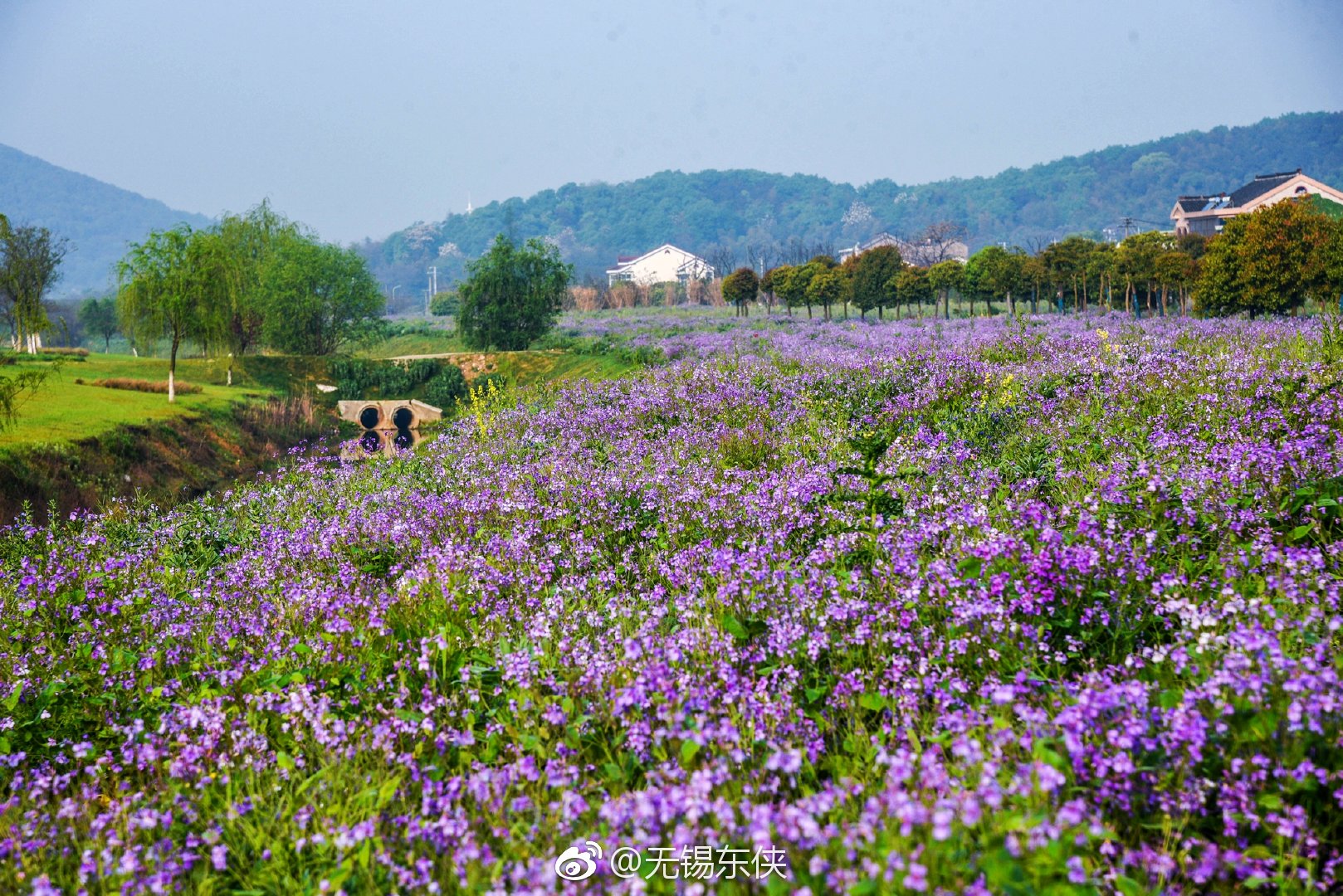 2023年闰二月是一年有13个月吗 农历为什么有两个二月