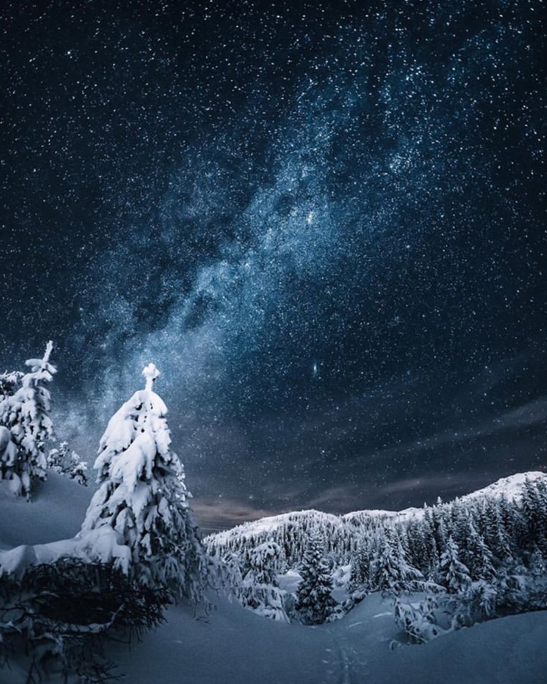 挪威孔斯贝格的雪夜星空78