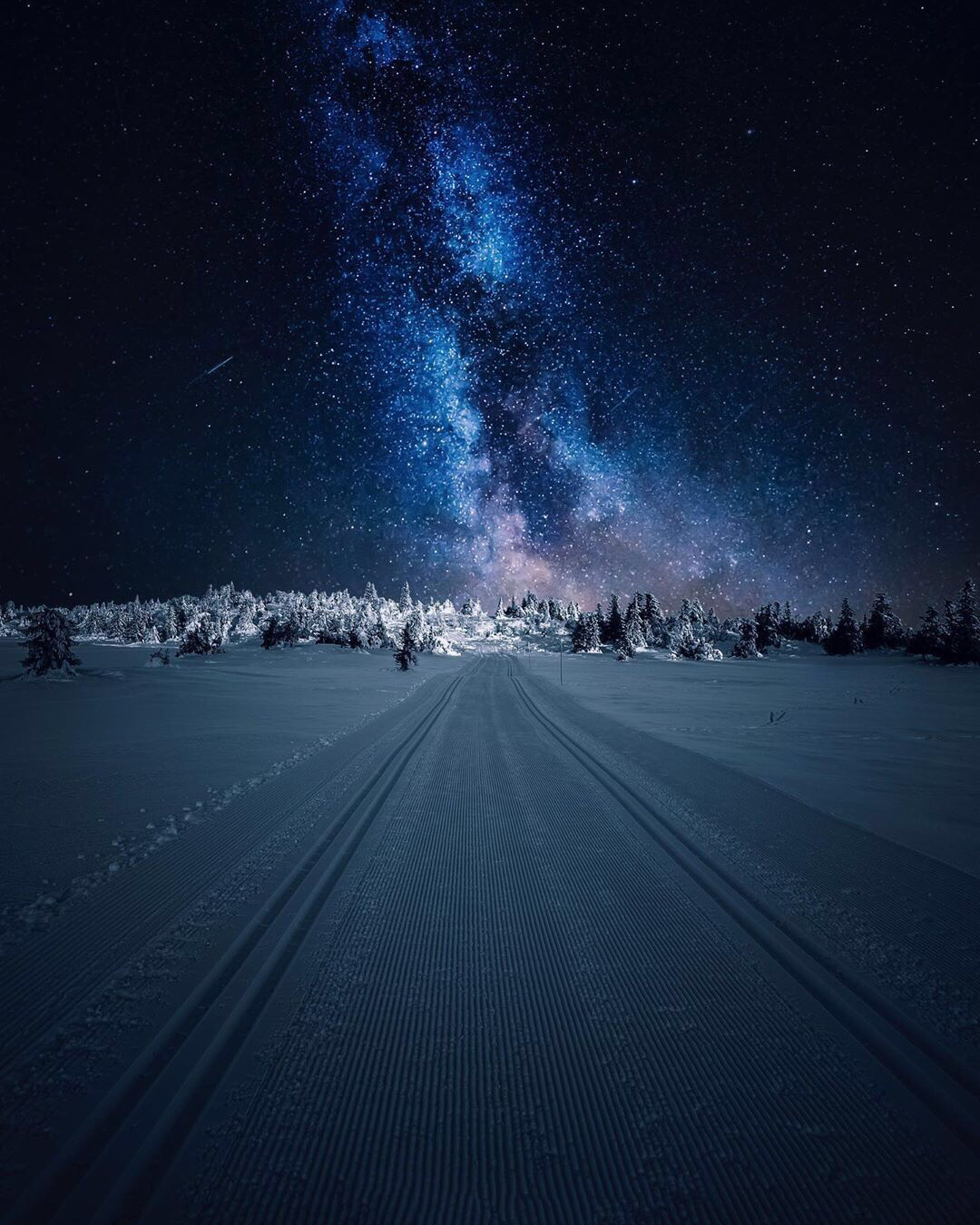 挪威的夜晚,是皑皑白雪,是璀璨星河,也是静寂森林._高清图集_新浪网