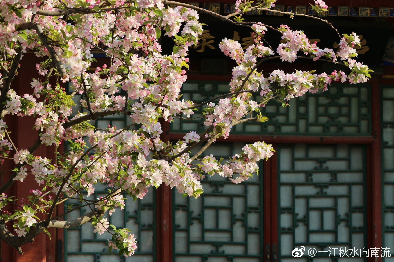 【携程攻略】北京怡红院景点,怡红院是大观园中规格最高，面积最大的园子。她也是大观园中唯一有门…