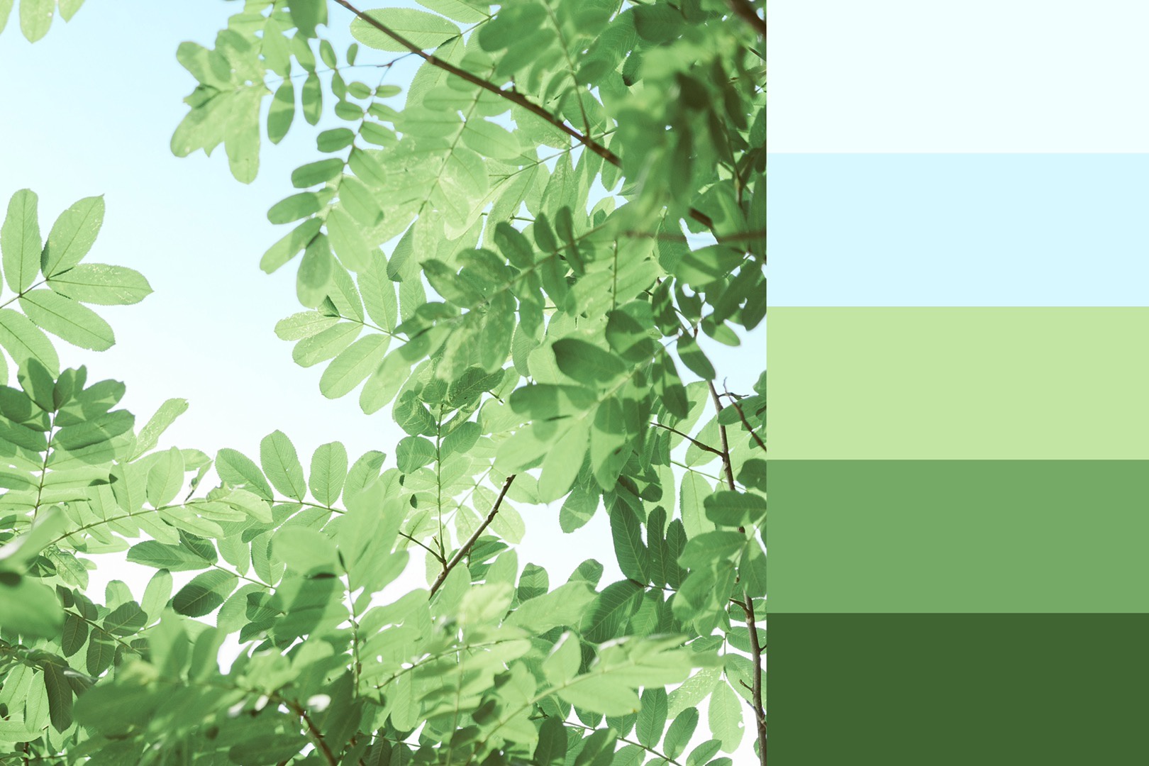 日系小清新配色,色卡对照.作者:@林大胖本胖_高清图集_新浪网