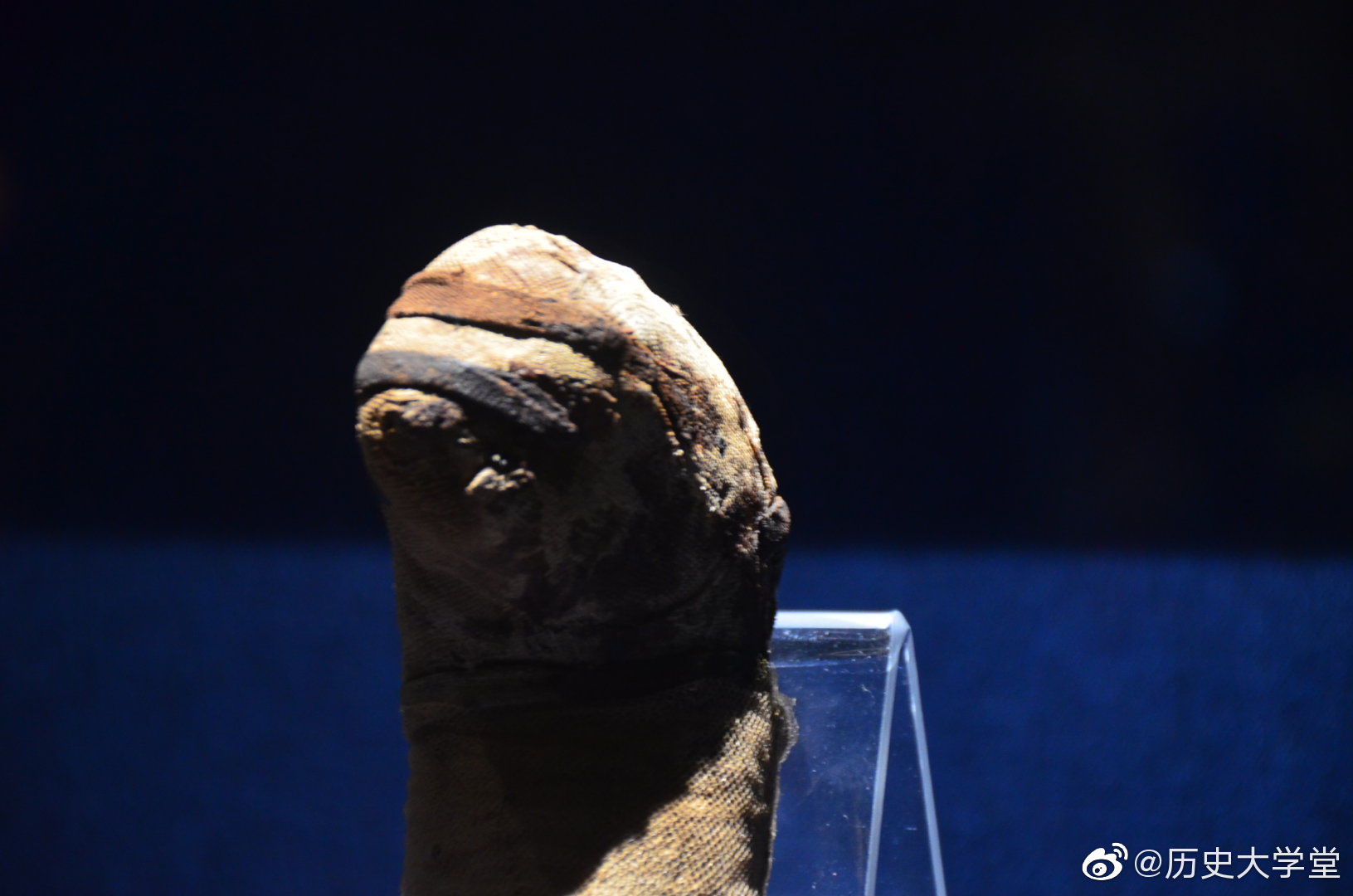 古埃及的猫木乃伊,动物木乃伊有何作用