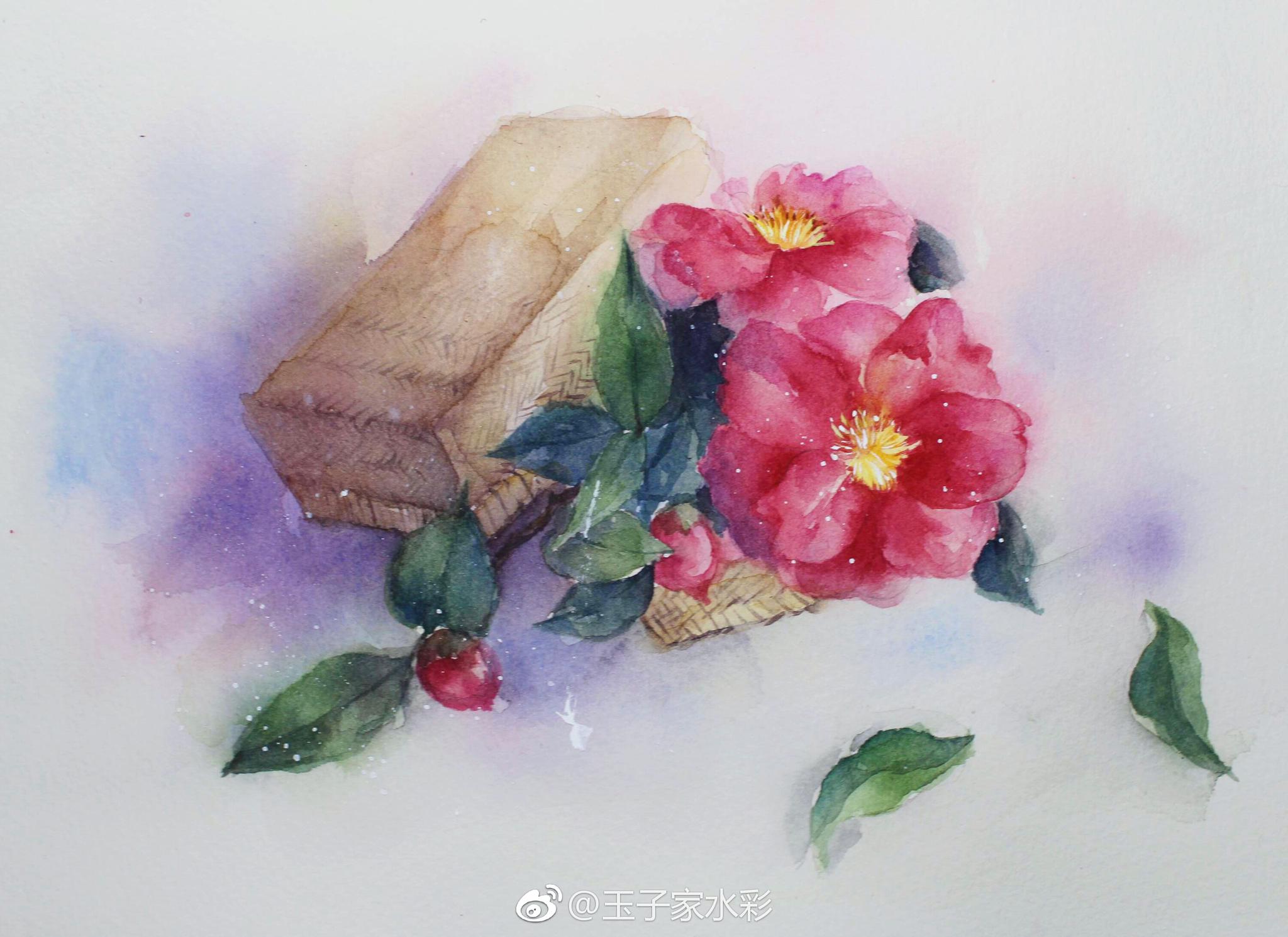 在花开的时间 等雨停 在花开的时间 等雨停