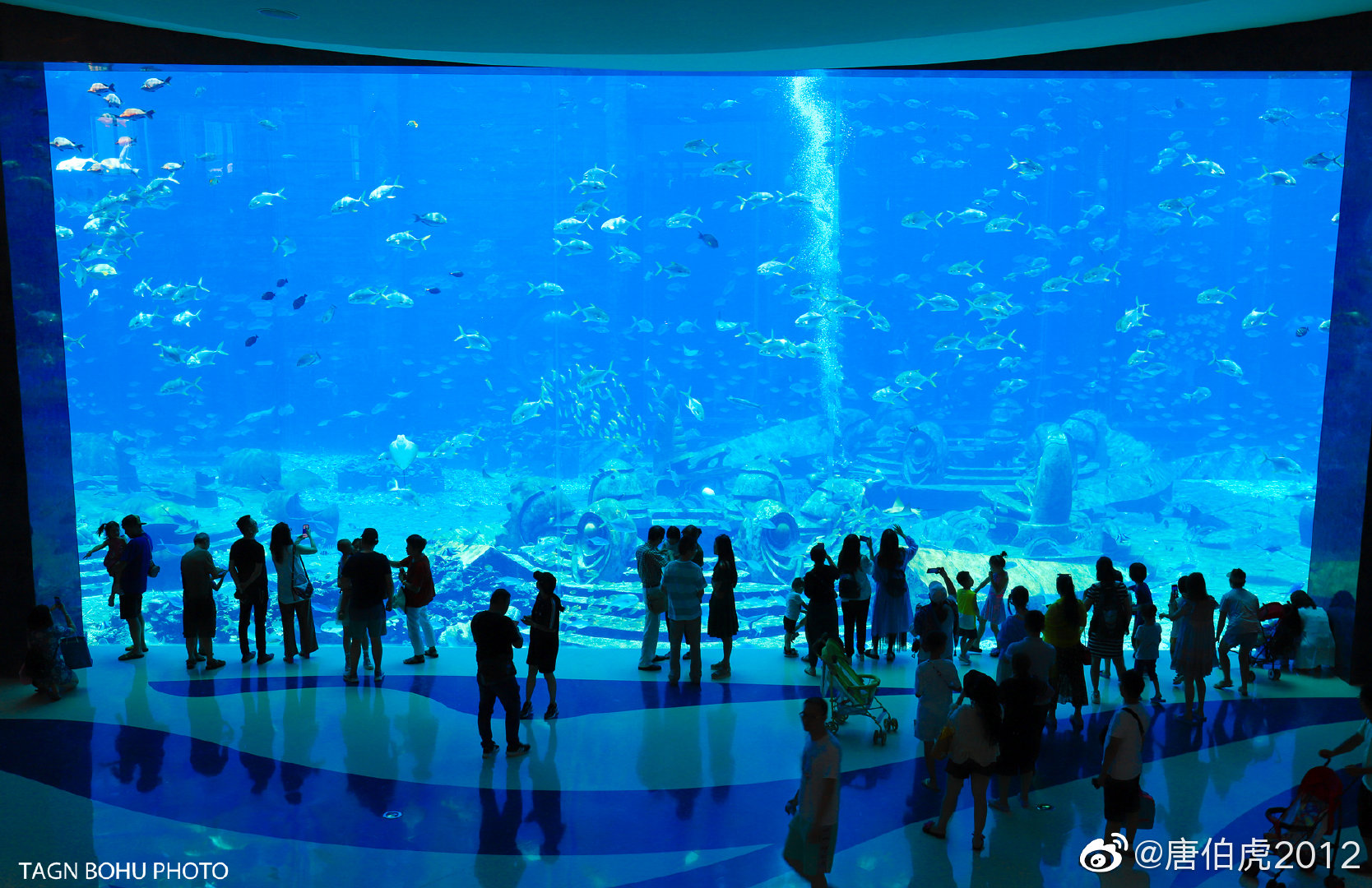三亚亚特兰蒂斯失落的空间水族馆水族馆海洋生物亚特兰蒂斯新浪新闻 