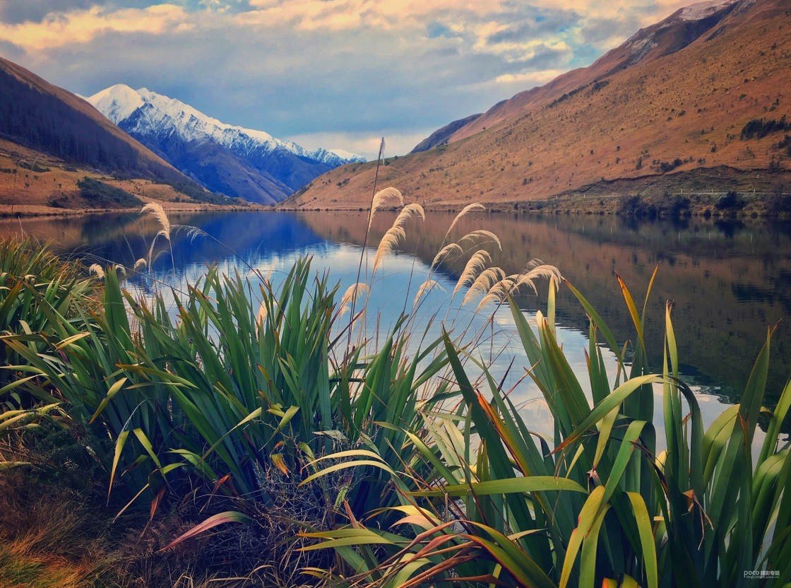 手机摄影技巧:手机也能拍风景大片?看完这5点,手残也能拍出好照片