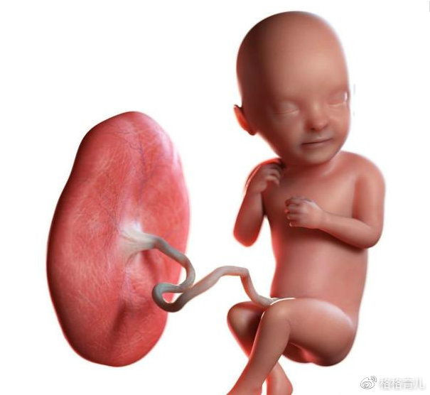 孕妈都担心胎相好不好,那胎盘位于前壁好还是后壁好?