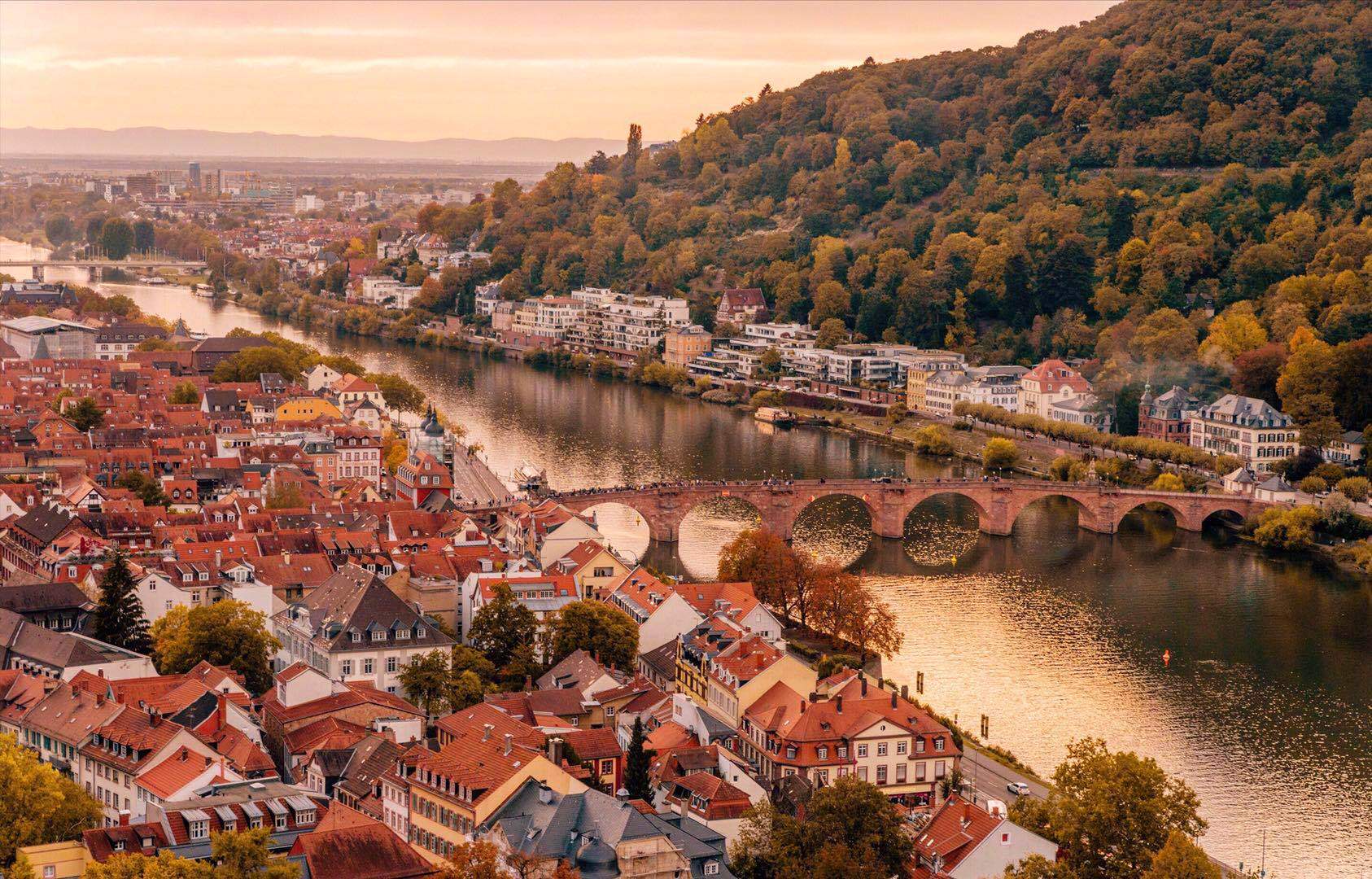 怎样评价海德堡大学?...