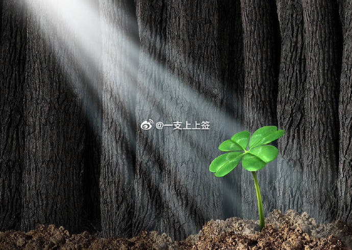 明日,你会走出困境