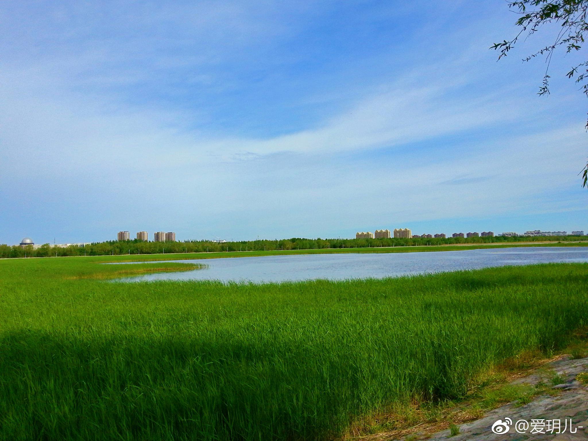 远观通辽市辽河公园西辽河大桥