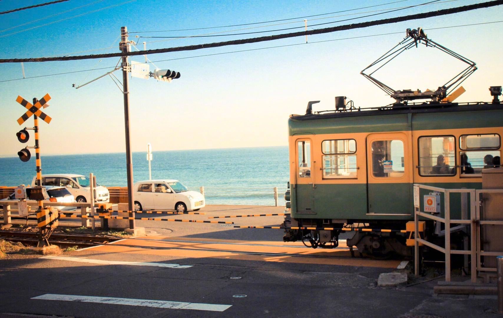 珠海老饕私藏的品茶地图:从早茶楼到深夜茶寮的舌尖巡礼