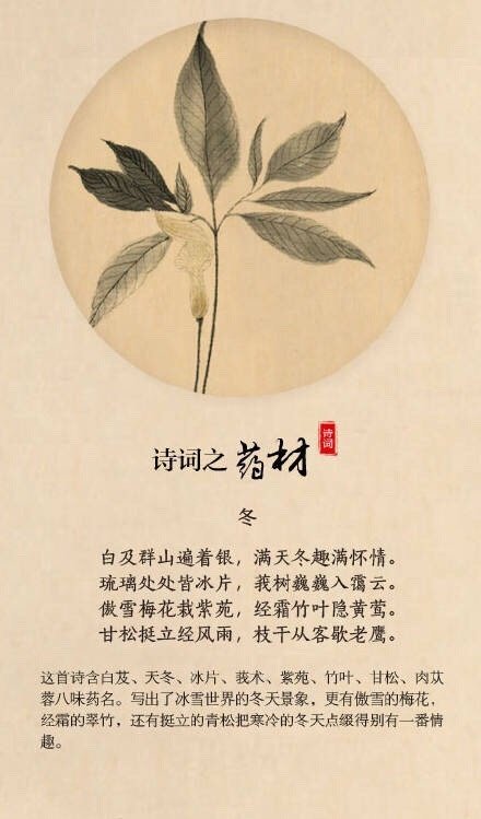 诗词之药材