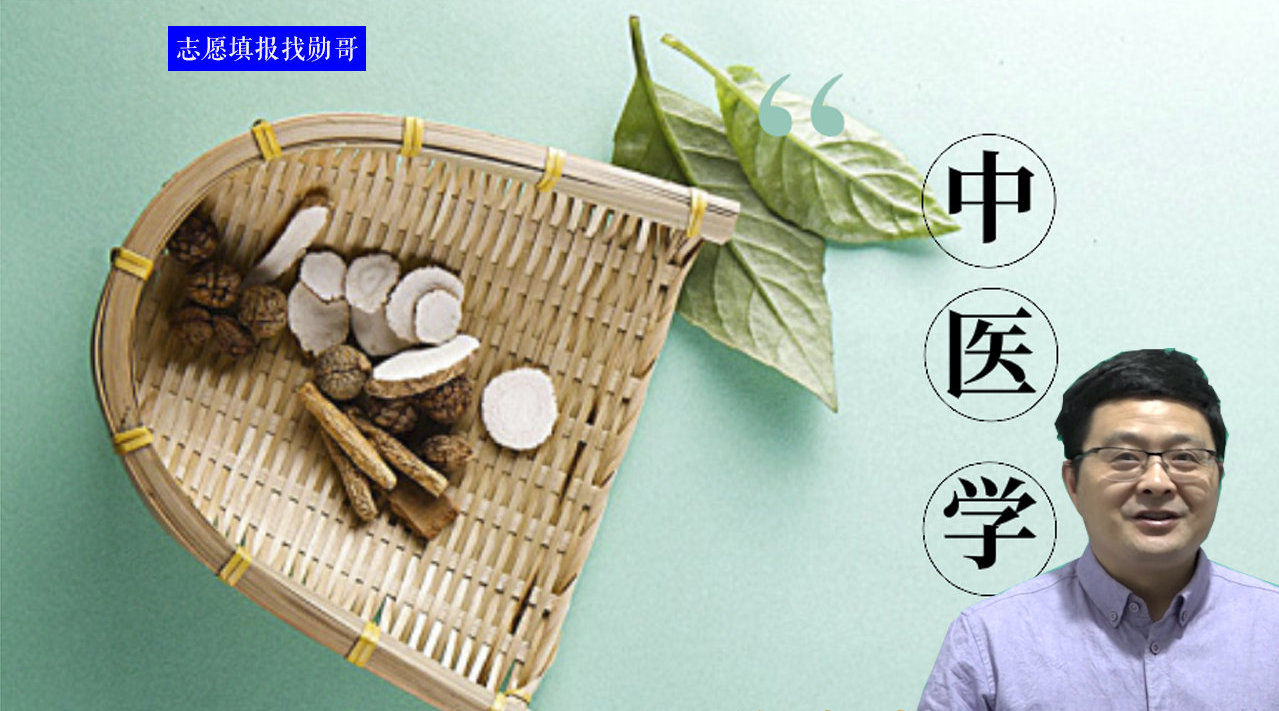 选择中医学专业的三个标准,你符合哪一条?