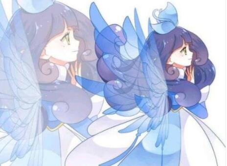 十二星座守护花仙(十二星座守护花仙精灵王)