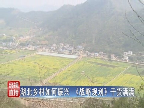 海市委常委会举行会议 研究上海市干部教育培