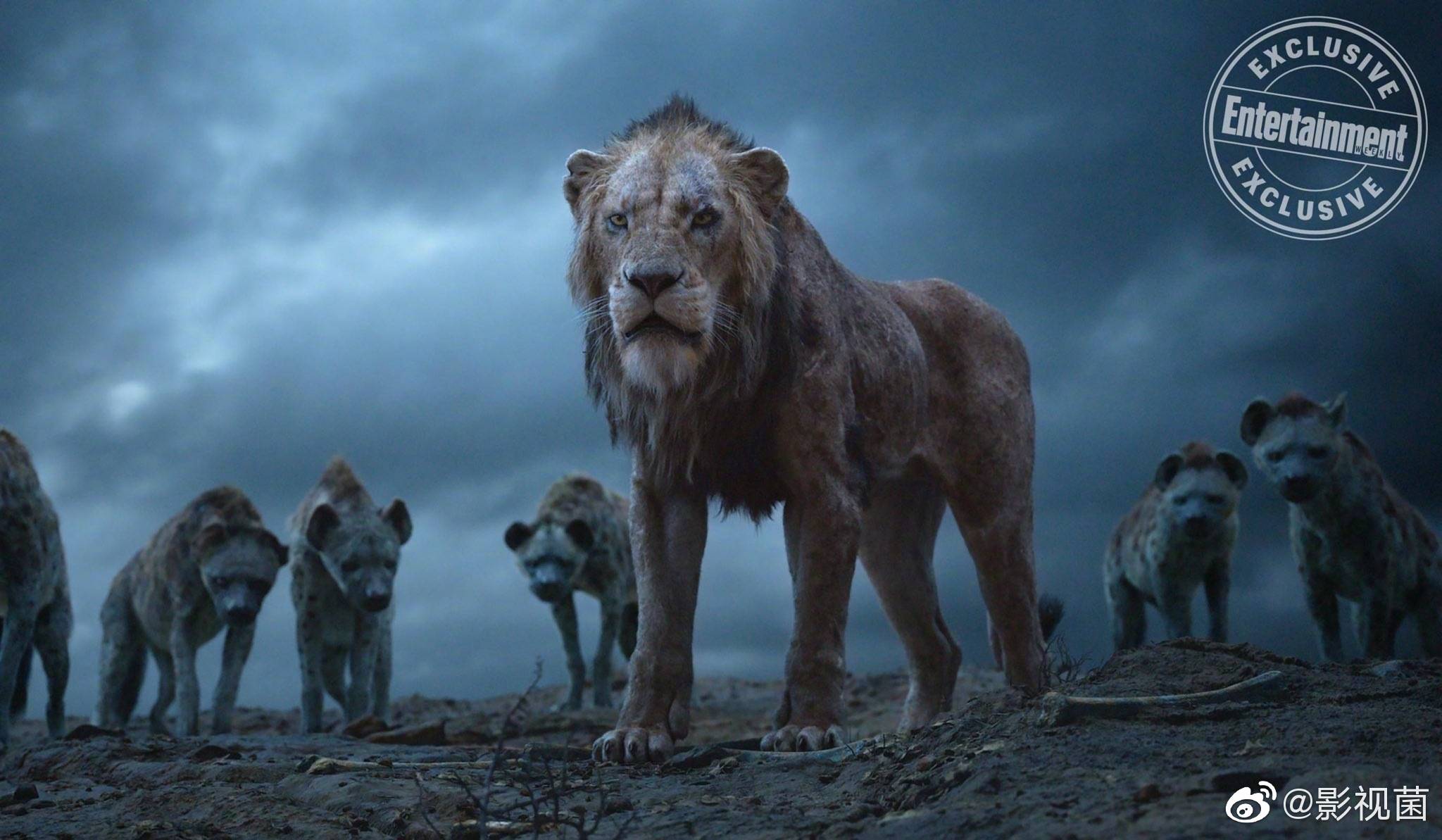 迪士尼真人电影《狮子王》发布一组新剧照.本片由乔恩·费儒执导