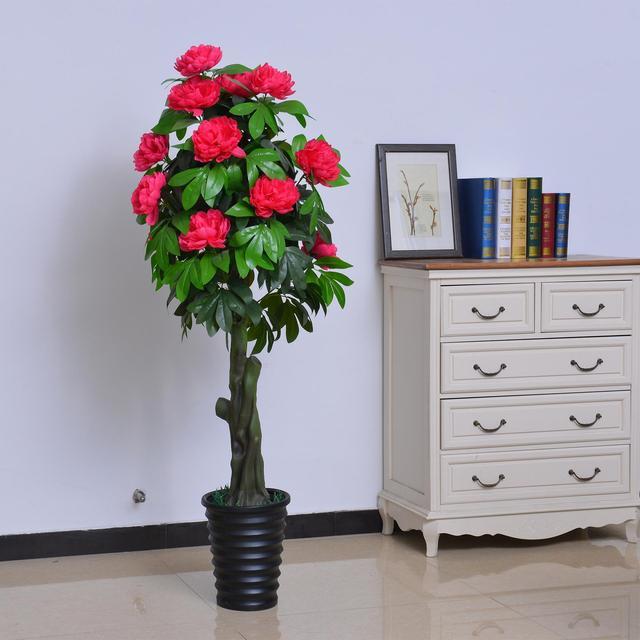 无声的诗立体的画家养一盆牡丹盆景花开富贵更显高雅