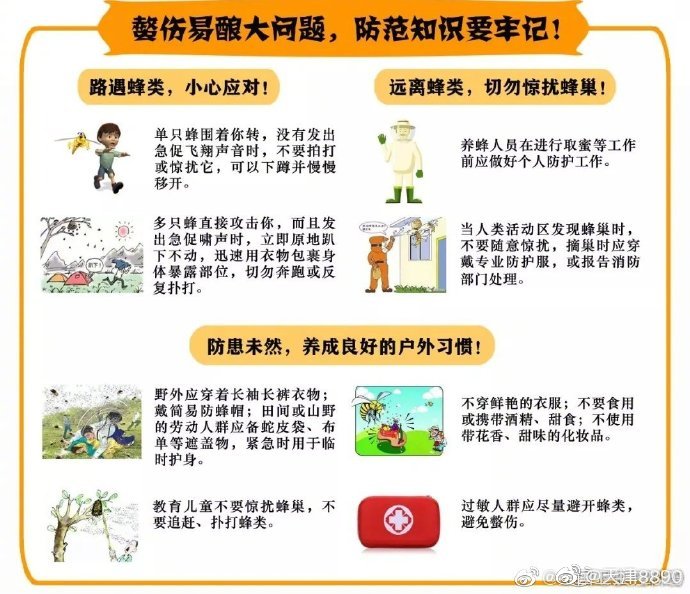 被蜜蜂蛰伤这样做