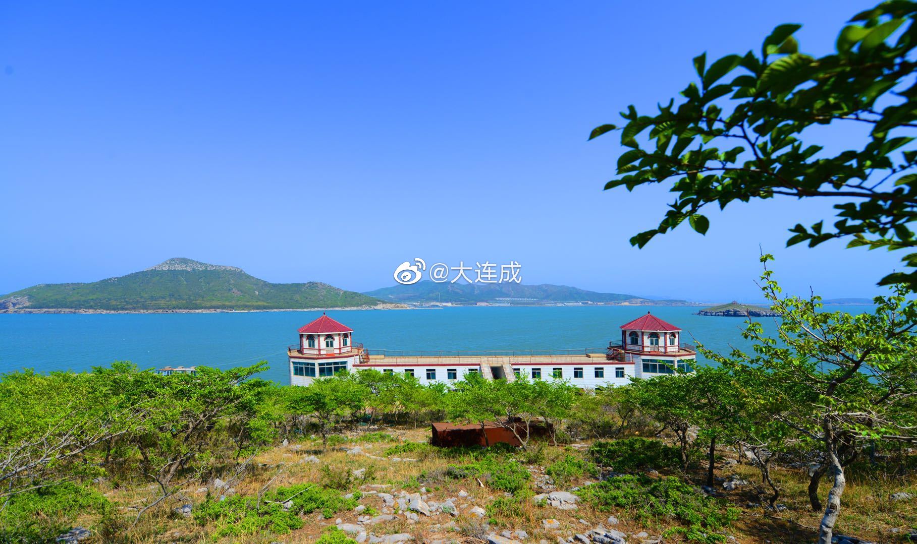在大连金州新区渤海海湾隐匿着这样一个小众海岛——鹿鸣岛,它是国内