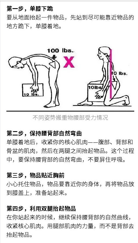一张腰部受力图告诉你:为什么搬东西时要先蹲下|脊柱|韧带|张力均_新浪新闻