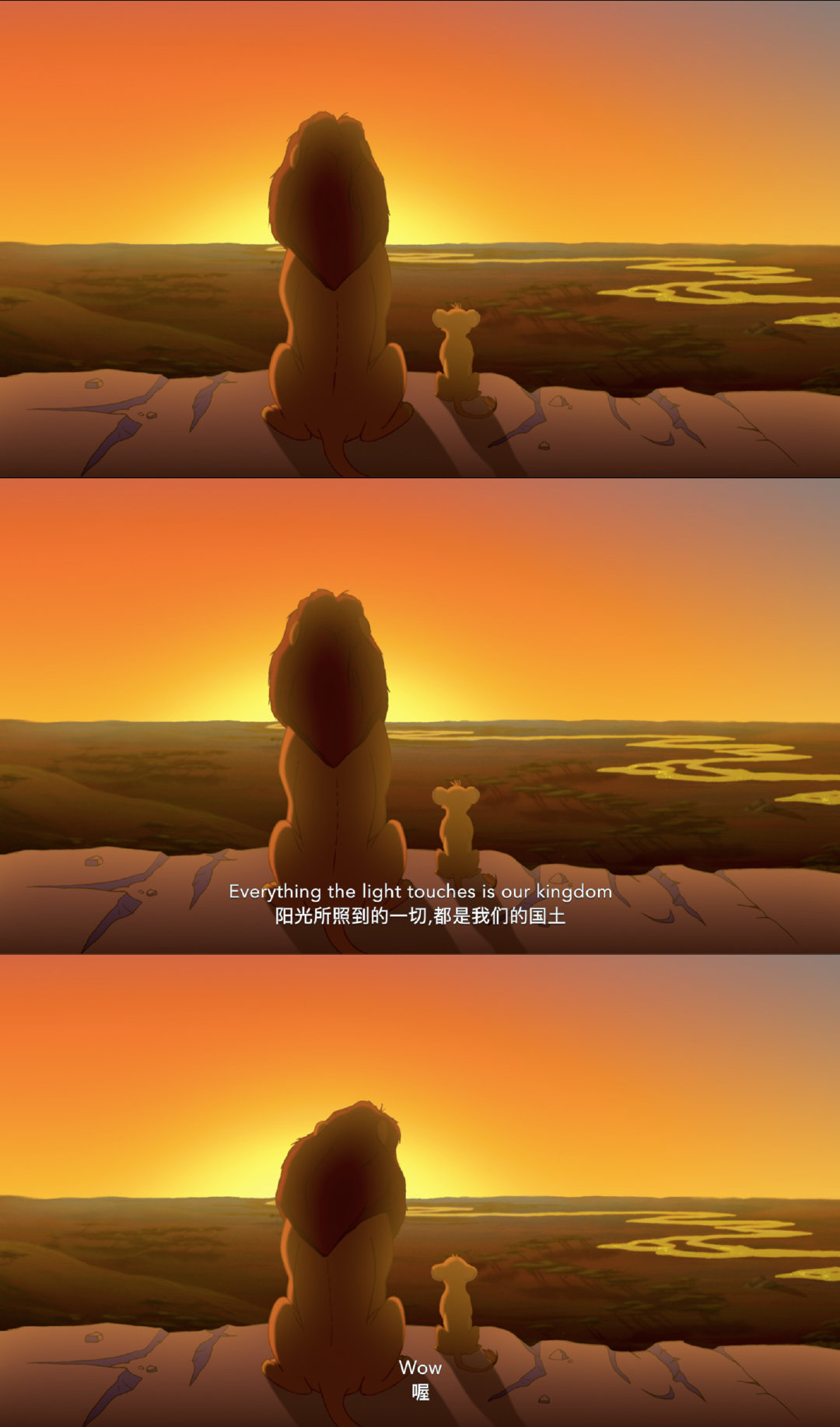 你必须在生命的循环中找到自己的位置