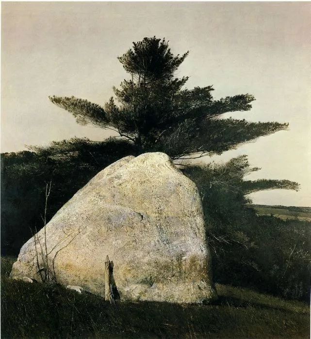 他被称为美国最伟大的画家,一幅趴着的女孩,几乎没人不知道|怀斯|画家