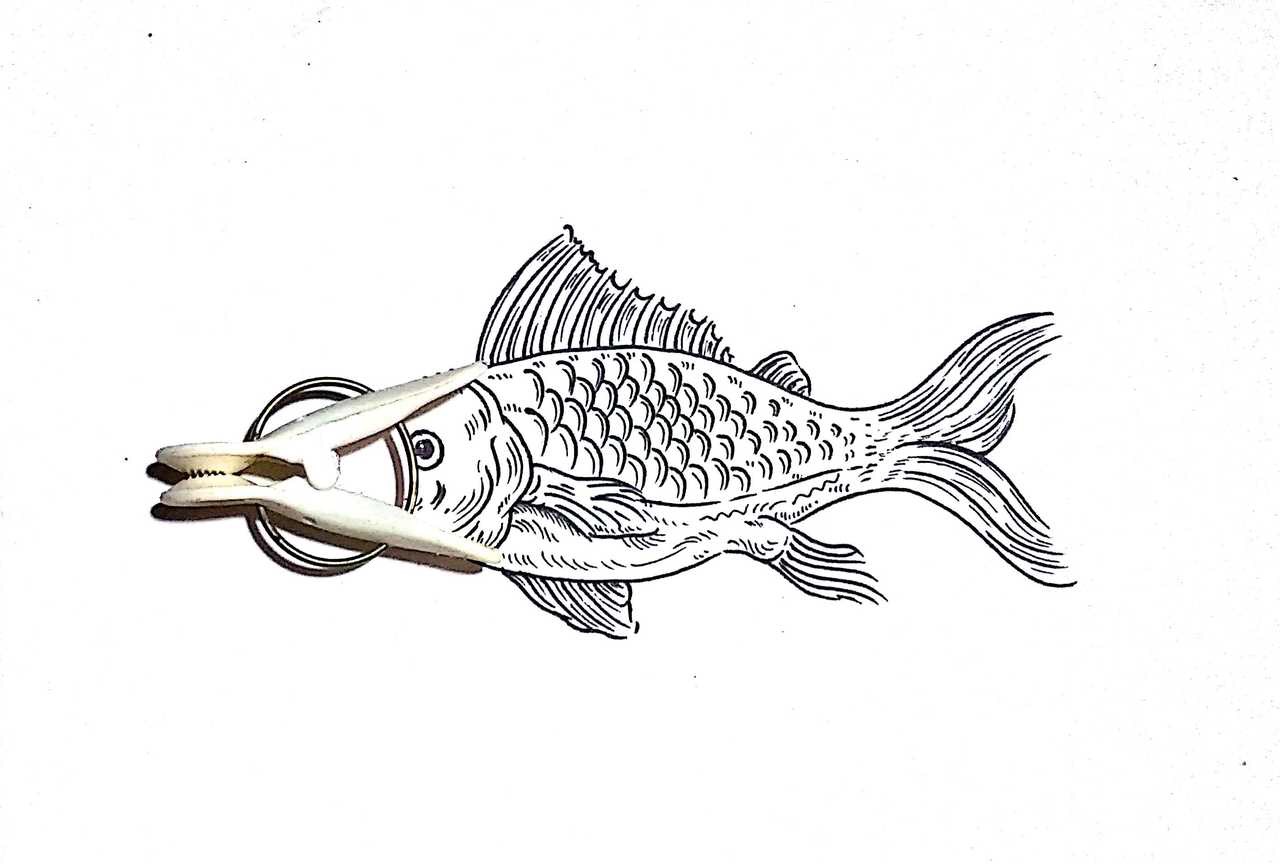 夹子创意画 来自作者@绿野仙踪wyt 脑洞大开