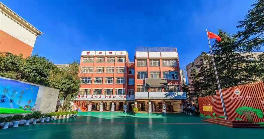 云大附小校长谢静:让孩子的天性得到最大程度的释放