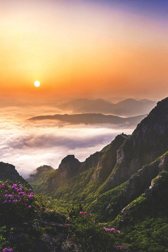 用一份恬淡的心情,赏花吟月,坐拥清风入怀,看这一路山高水长