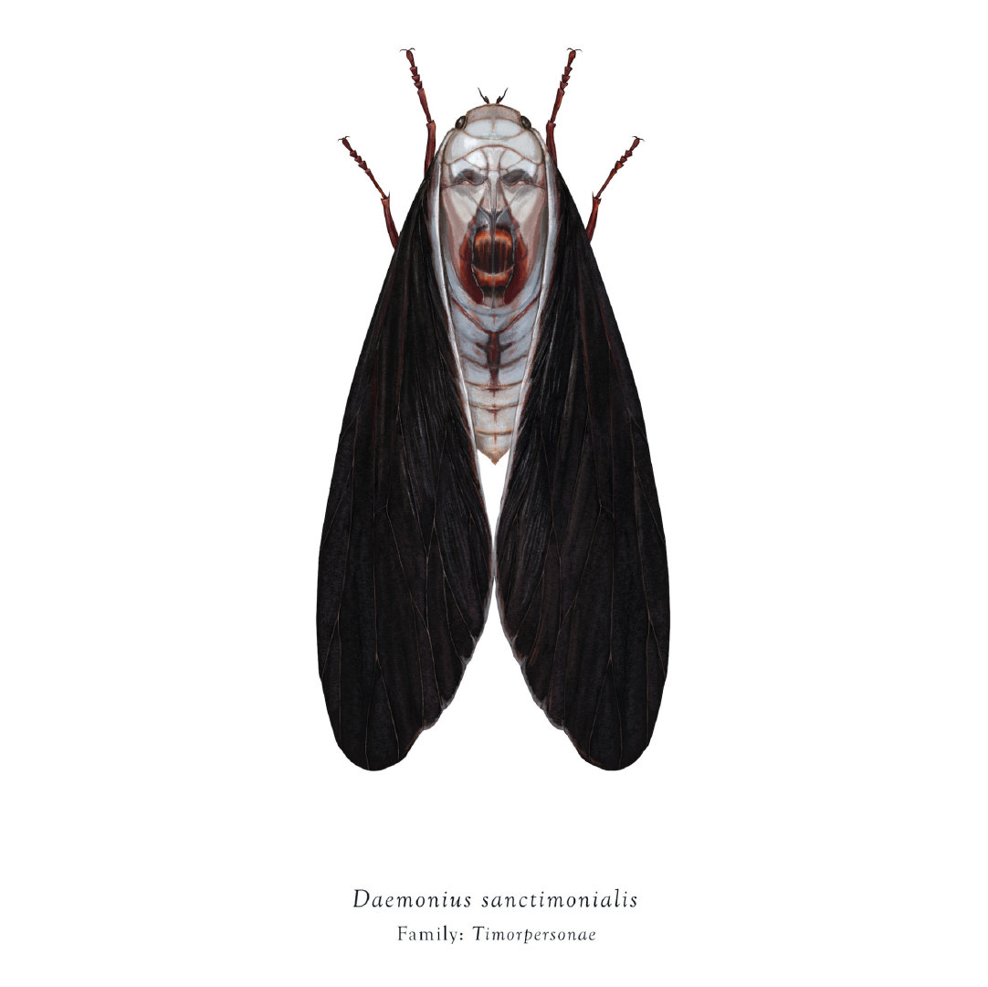 恐怖昆虫英国插画家 richard wilkinson 根据流行文化中常见的面孔