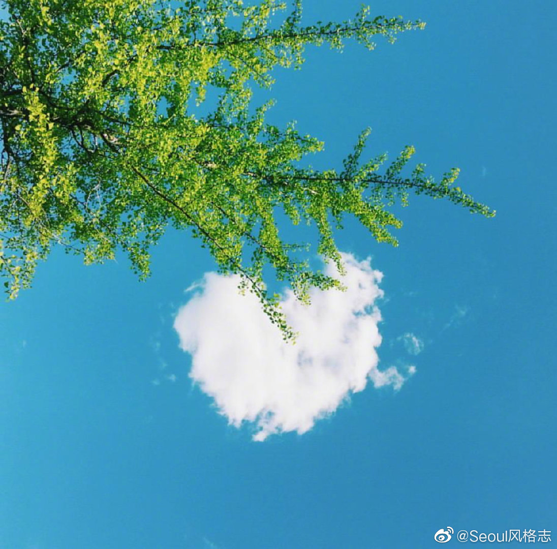 在这片心形云下，许下自己最真诚和恳切的心愿。