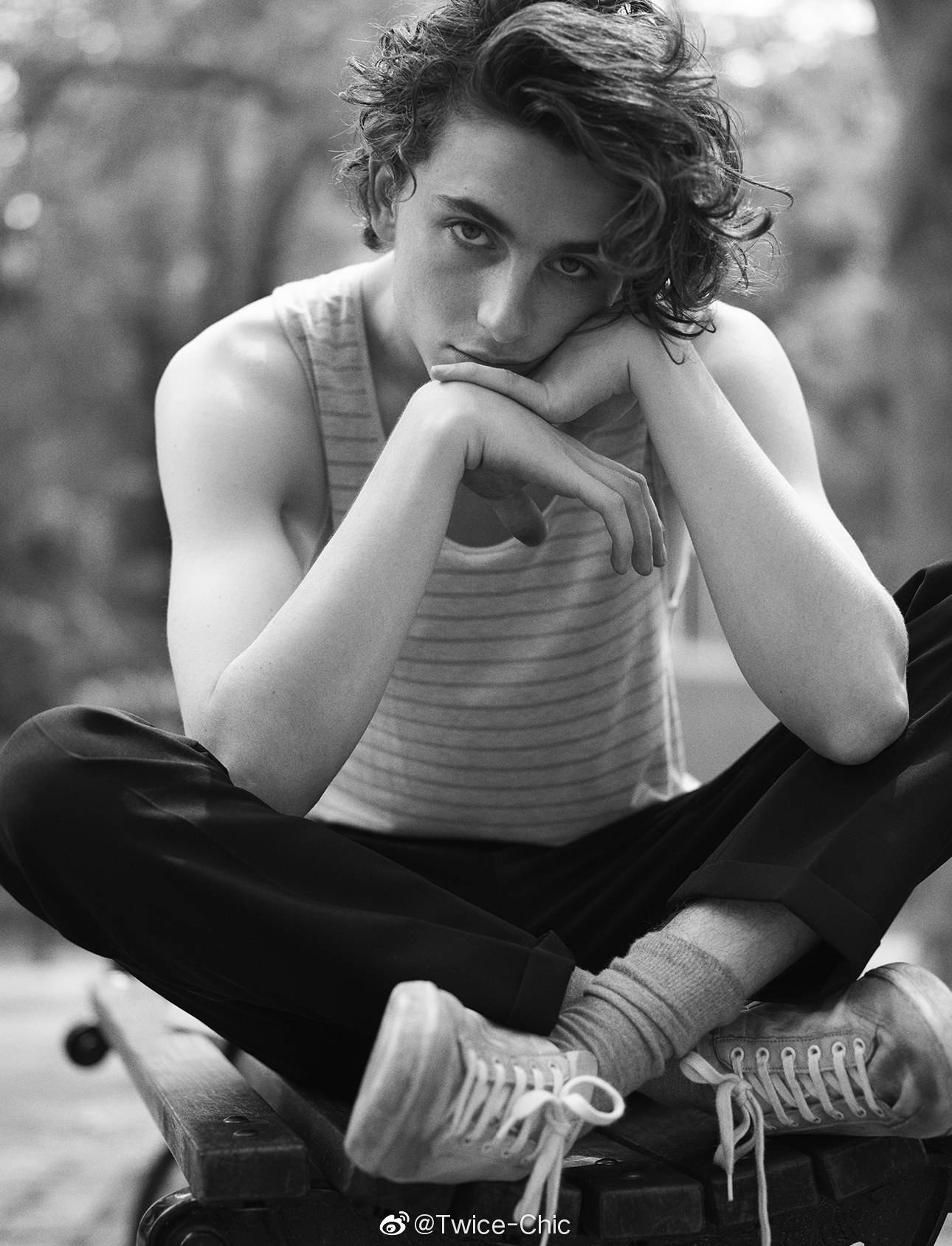 甜茶timothée chalamet x luomo vogue 意大利版11月刊封面大片
