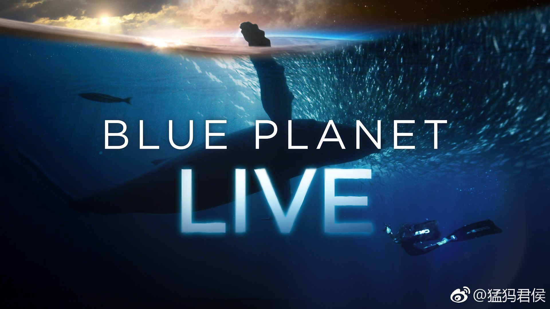 蓝色星球 第2季(BLUE PLANET Ⅱ)-纪录片-腾讯视频