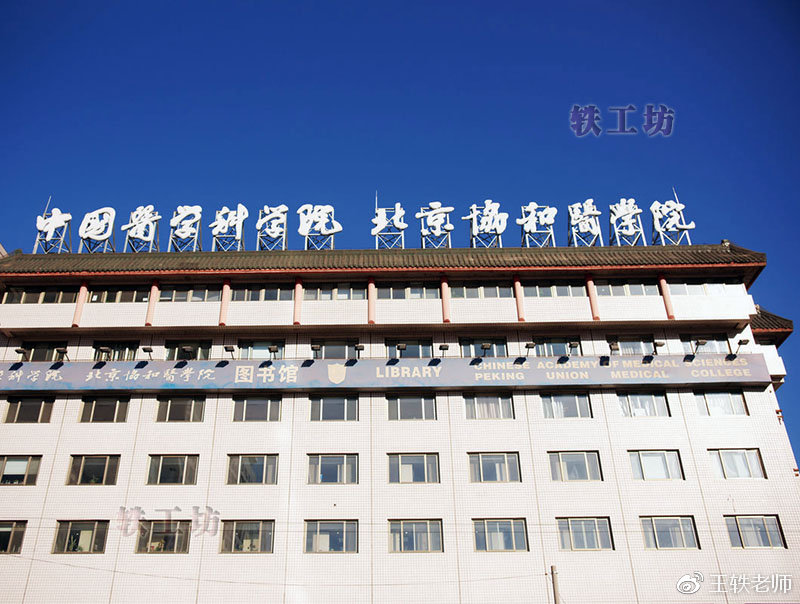 成领域顶尖"双一流"|清华大学|协和|北京协和医学院_新浪新闻