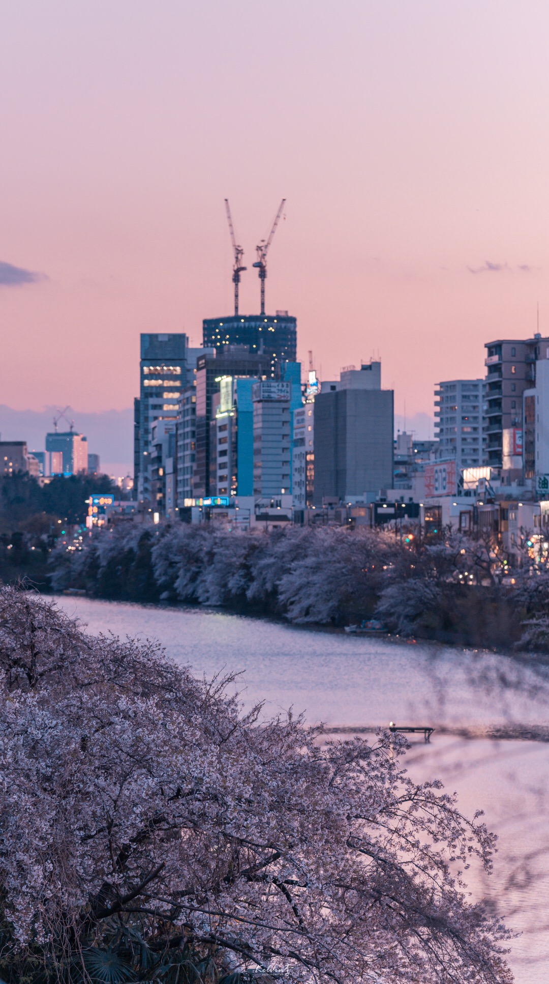 像梦一样,想一直呆在那里 :@日本旅拍摄影师kelvin李
