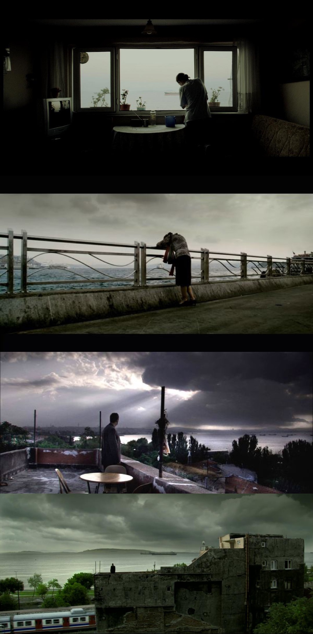 努里 比格 锡兰导演作品里的背影