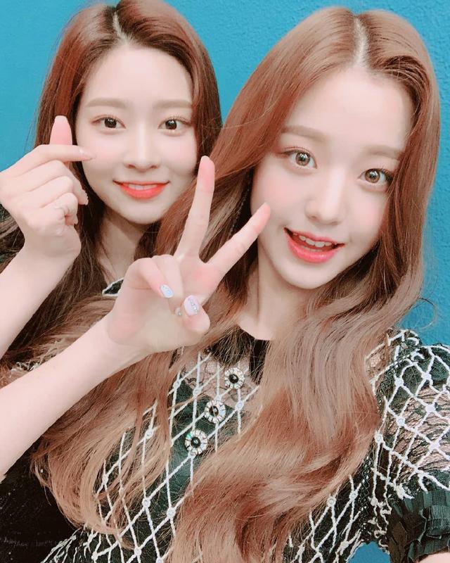 双排|金灿毅|张元英_新浪新闻