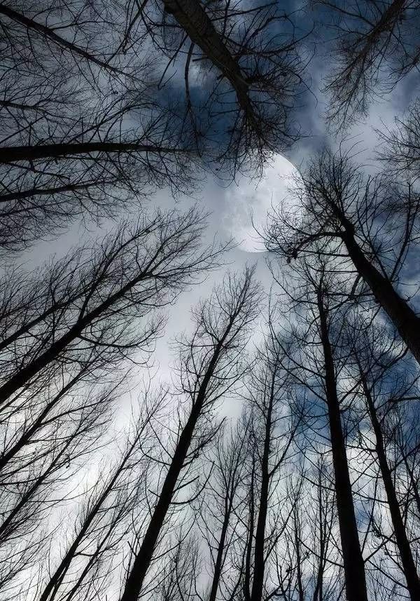 摄影有一个角度,拍出来的照片美极了!