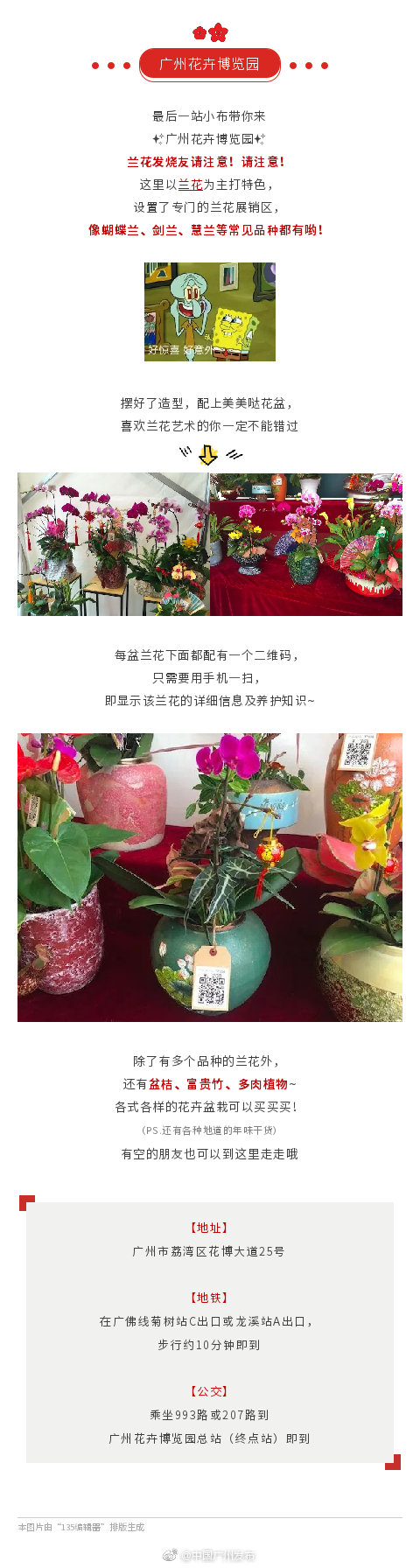 收藏 广州年花扫货攻略来袭 选择多多好抵买 收藏 广州年花扫货攻略来袭 选择多多好抵买