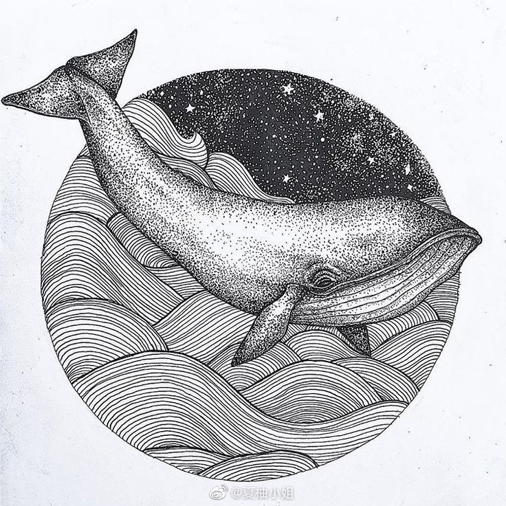 一组鲸鱼黑白画,美美哒