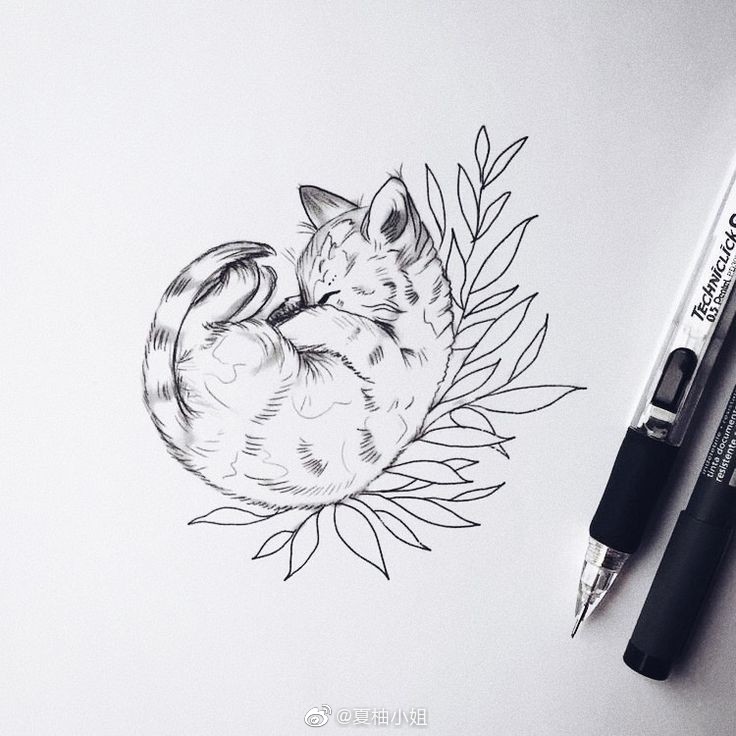 喵星人黑白画一组