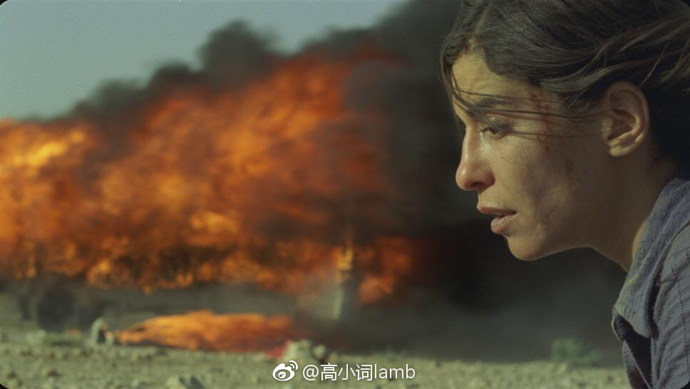 《焦土之城》最近我看过的最好看的电影🎬一个疯狂的世界_新浪新闻